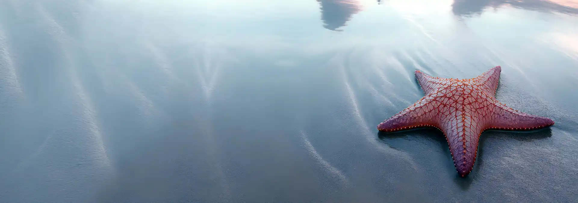 In Home Senior Care Services